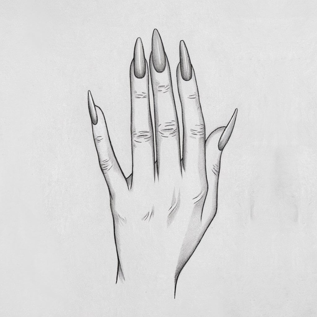 A minimalist, plain white background pencil drawing illustration of a five fingered hand with long, gracefully shaped nails extending outward. The nails are drawn with smooth, elongated curves, accentuating their elegance. Each nail is slightly tapered, reflecting classic shapes like almond and stiletto styles. Light pencil shading along the edges enhances the illusion of a polished surface. The fingers are slender and subtly contoured, with faint creases at the joints for realism. Drawn in a simplistic style, the focus remains on the refined length and symmetry of the nails, making them appear sleek and sophisticated against the plain white background.