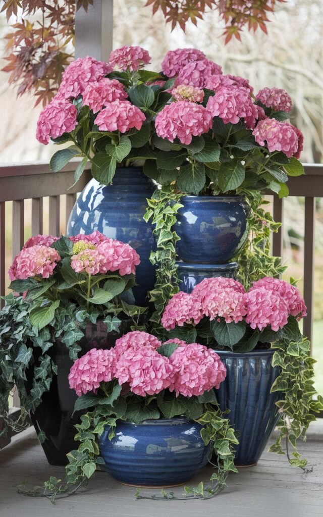 A photo of a well-decorated hydrangea garden on a sunny porch. Bold pink hydrangeas overflow from stylish ceramic containers of varying shapes and sizes. The planters are grouped in a tiered display. The blooms are bright and plush, contrasted by trailing plants like ivy and bacopa that spill gracefully over the container edges. The background contains a wooden railing and a few leaves.