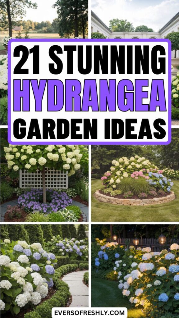 Hydrangea Garden Ideas