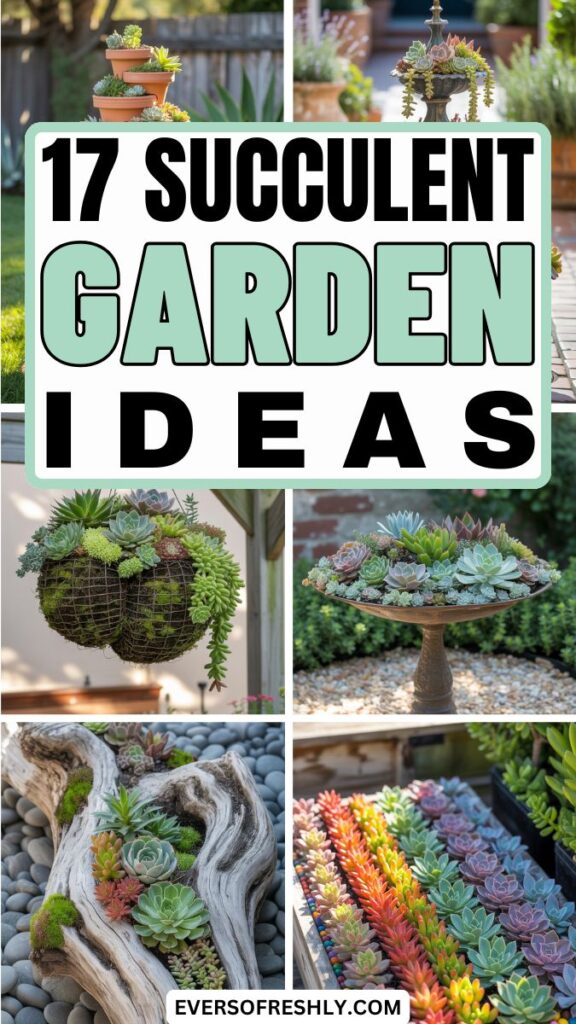 Succulent Garden Ideas