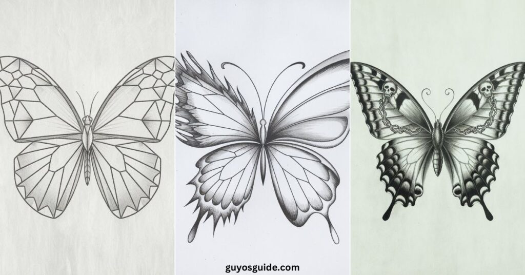 Butterfly Drawing Ideas - Guyo's Guide