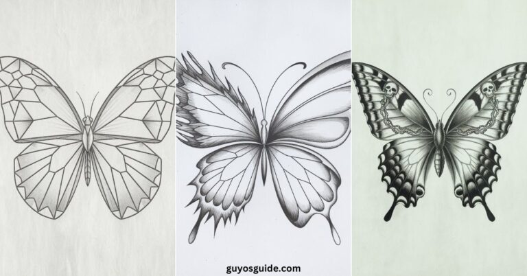 Butterfly Drawing Ideas - Guyo's Guide