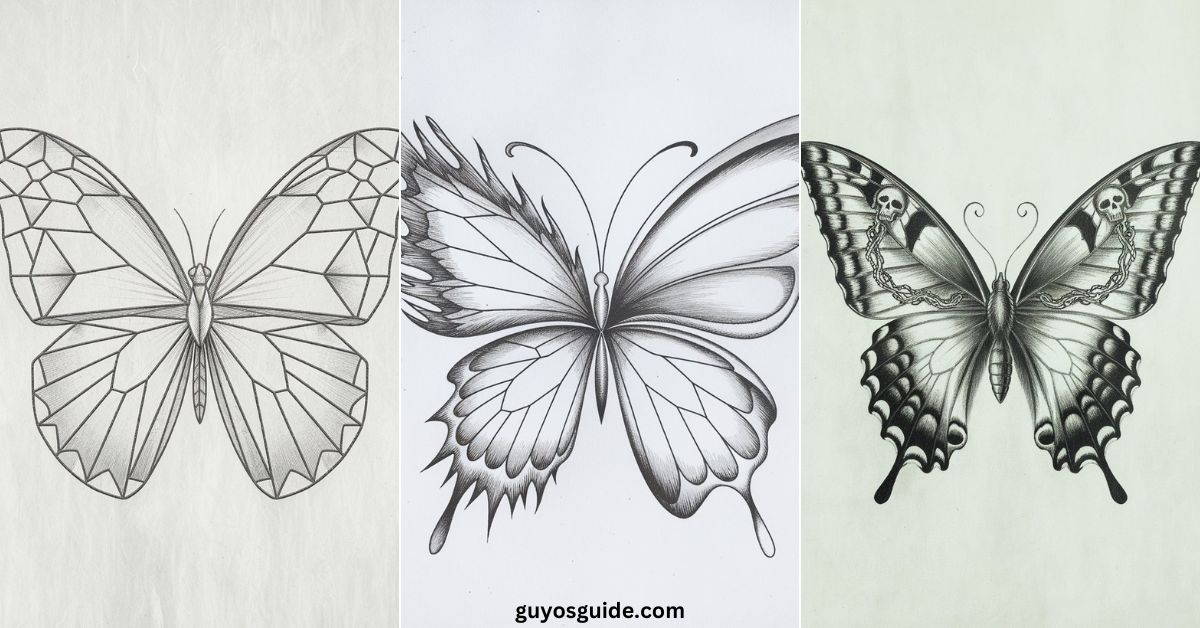 Butterfly Drawing Ideas - Guyo's Guide